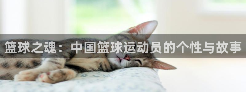 篮球之魂：中国篮球运动员的个性与故事