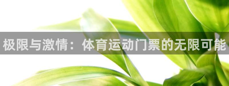 极限与激情：体育运动门票的无限可能