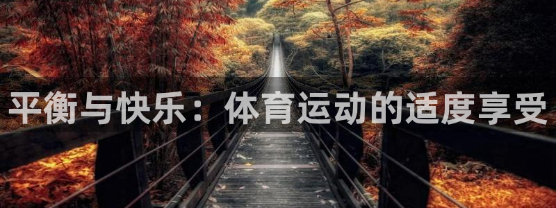 平衡与快乐：体育运动的适度享受