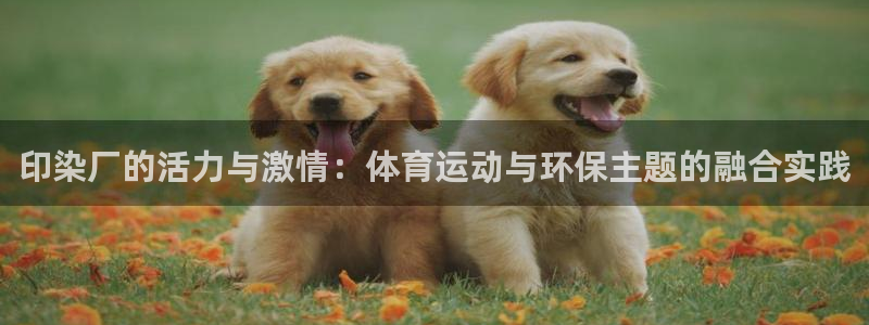 印染厂的活力与激情：体育运动与环保主题的融合实践