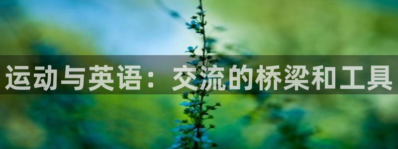 运动与英语：交流的桥梁和工具